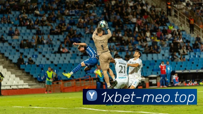 1xbet官网平台生态图