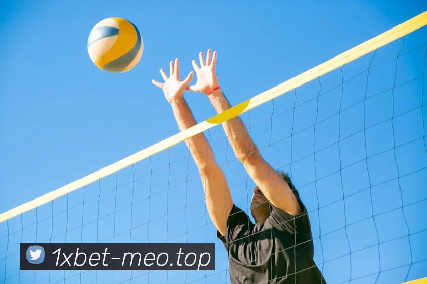 辅助工具 辅助工具